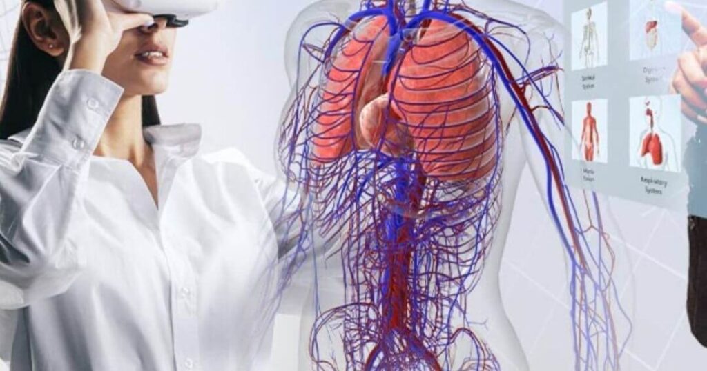 vr digital human anatomy